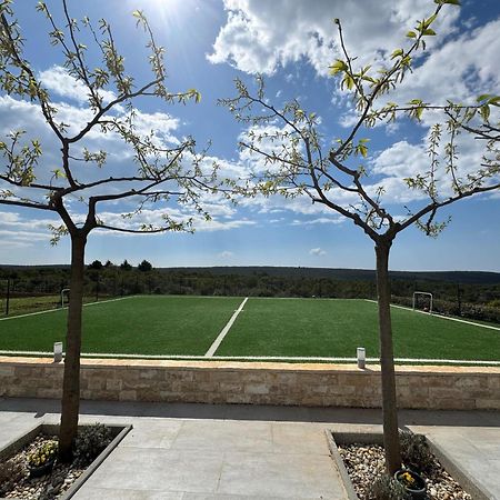 Villa Jelena زادار المظهر الخارجي الصورة