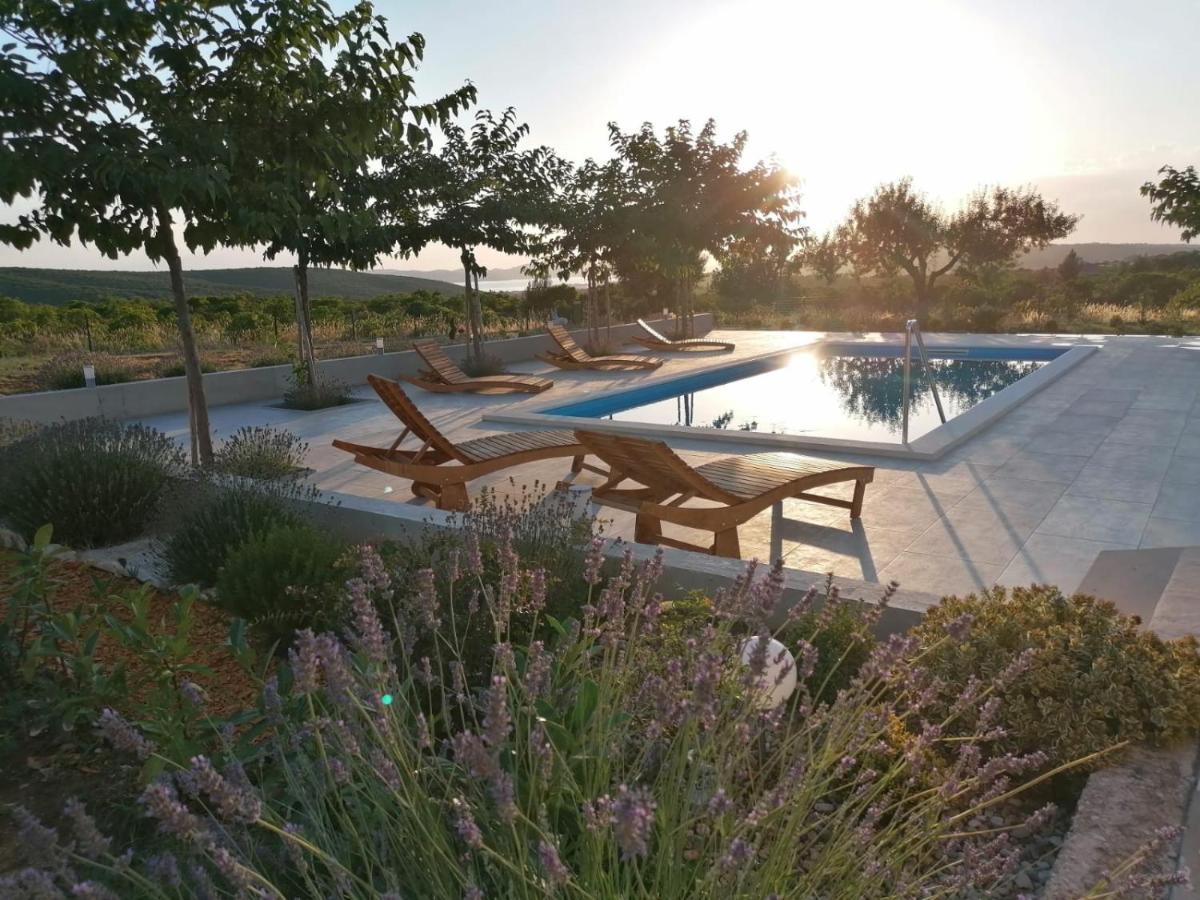 Villa Jelena زادار المظهر الخارجي الصورة